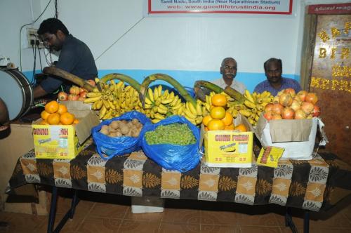 FRUIT-FOR-CHILDREN-1
